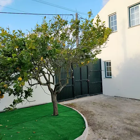 Brisa Do Mar - Consolacao بيت ضيافة 3*